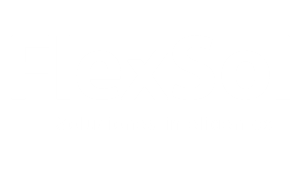 FlexSol  Sistemas de Automatización para Naves y Empresas